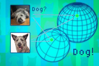 Graphic with 2 different images of a dog