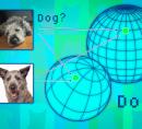 Graphic with 2 different images of a dog